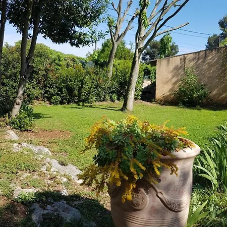 Apartment Cap Au Sud Sweet *
