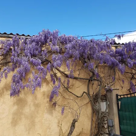 Cap Au Sud Sweet شقة