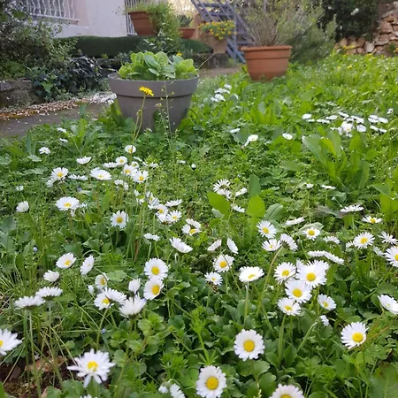 شقة Cap Au Sud Sweet *