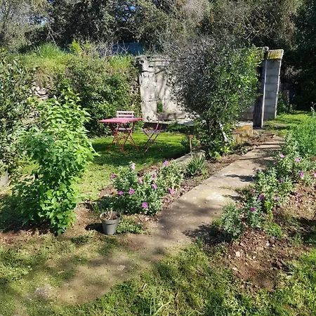 Cap Au Sud Sweet Apartment Nimes