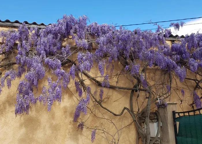 Cap Au Sud Sweet شقة