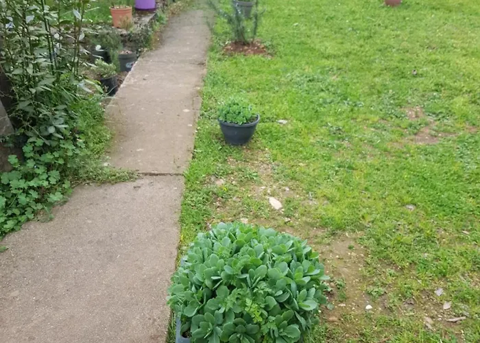 Cap Au Sud Sweet نيم