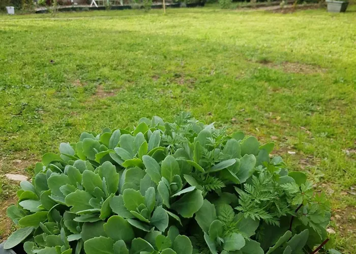 Cap Au Sud Sweet شقة