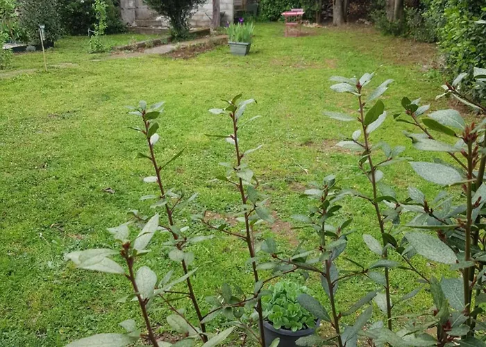 شقة Cap Au Sud Sweet *