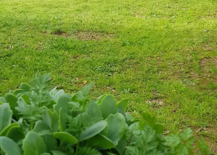 شقة Cap Au Sud Sweet نيم